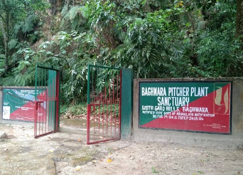 Baghmara Pitcher Plant Wildlife Sanctuary